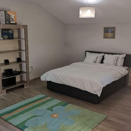 Viking Apartment Grigo Cluj-Napoca Esterno foto