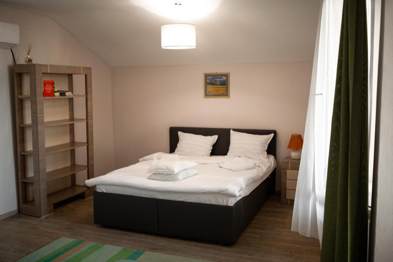 Viking Apartment Grigo Cluj-Napoca Esterno foto